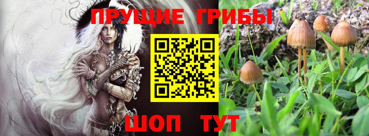 Галлюциногенные грибы Psilocybe  Псилоцибиновые грибы мухоморы  Гуково  Вход с VPN 